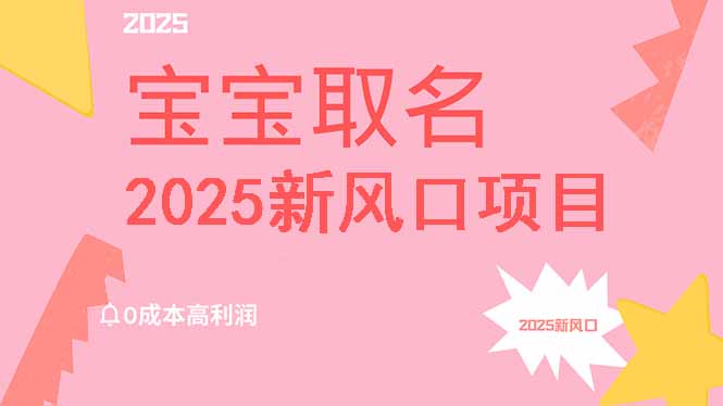 2025新风口项目宝宝取名，0成本高利润，附保姆级教程，月入过万不是梦|HOOK协议网