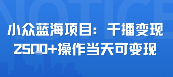 小众蓝海项目，千播变现2.5k+操作当天可变现|HOOK协议网