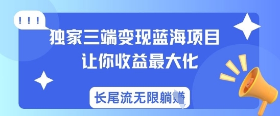 独家三端变现蓝海项目，让你收益最大化，长尾流无限躺挣|HOOK协议网
