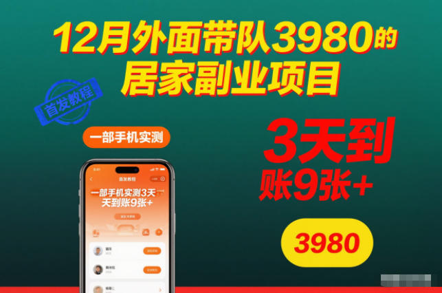 12月外面带队3980的居家副业项目，一部手机实测3天到账9张+，首发教程【揭秘】|HOOK协议网