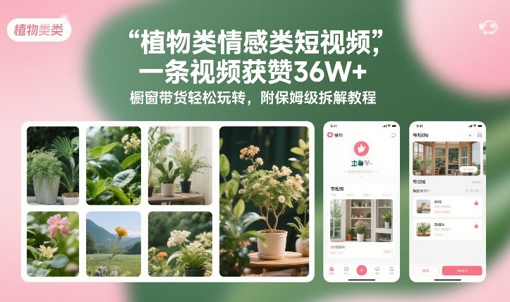 植物类情感类短视频，一条视频获赞36W+，橱窗带货轻松玩转，附保姆级拆解教程|HOOK协议网
