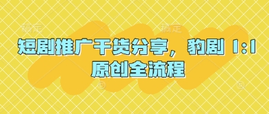 短剧推广干货分享，豹剧 1:1原创全流程|HOOK协议网