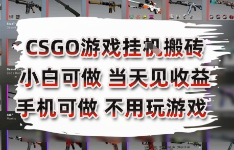 CSGO游戏挂G搬砖，小白纯手机即可操作，不用电脑打游戏，日入3张+，副业网创项目【揭秘】|HOOK协议网
