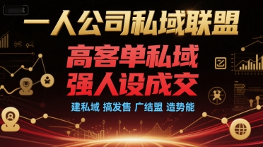 一人公司私域联盟，高客单私域，强人设成交，建私域 搞发售 广结盟 造势能|HOOK协议网