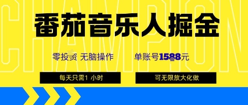 番茄音乐人掘金，单账号最高可撸1k+，可无限矩阵去做，零投入|HOOK协议网