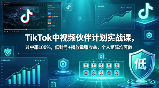 TikTok中视频伙伴计划实战课，过中率100%，低封号+播放量賺收益，个人矩阵均可做|协议软件打粉软件
