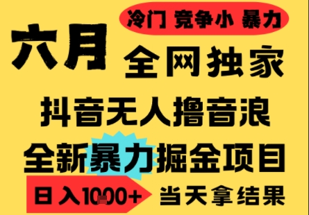 25年6月高爆抖音无人直播最新撸音浪掘金项目，小白可做，无脑日入1k+，门槛低可批量矩阵【揭秘】|HOOK协议网