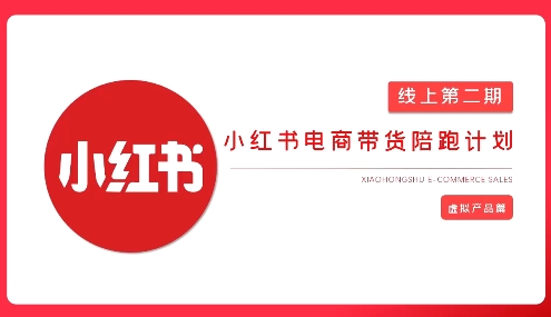 2025小红书虚拟电商实战课，从0到1打造无货源店铺，AI+爆款笔记轻松变现|HOOK协议网