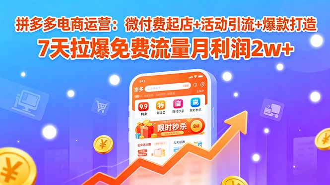 拼多多电商运营：微付费起店+活动引流+爆款打造 7天拉爆免费流量月利润2w+|HOOK协议网