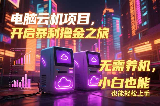 电脑云机项目 暴力撸金玩法，不需要养机 配置没有要求 单机100个窗口一…|HOOK协议网