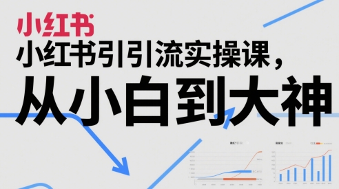 小红书引流实操课，从小白到大神|HOOK协议网