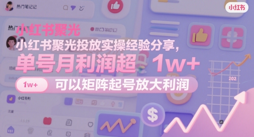 小红书聚光投放实操经验分享，单号月利润超1w+，可以矩阵起号放大利润|HOOK协议网