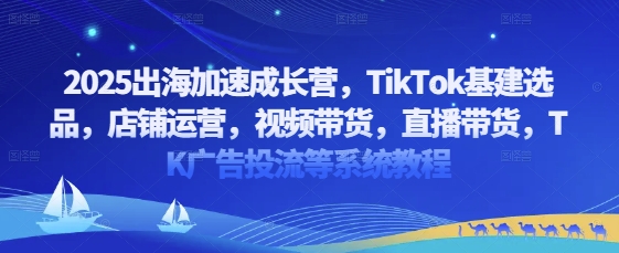 2025出海加速成长营，TikTok基建选品，店铺运营，视频带货，直播带货，TK广告投流等系统教程|HOOK协议网