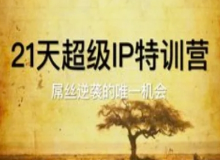 21天超级IP特训营，屌丝逆袭的唯一机会|HOOK协议网