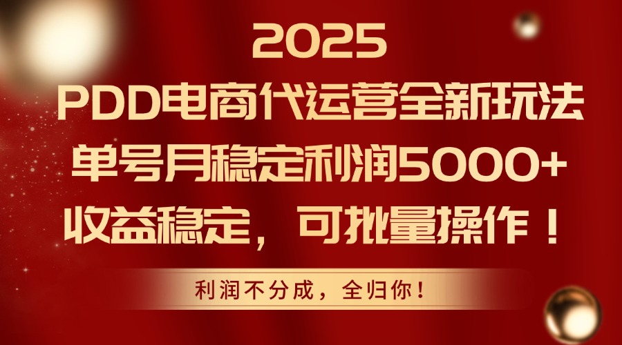 2025PDD电商代运营全新玩法，单号月稳定利润5000+，收益稳定，可批量操作|HOOK协议网