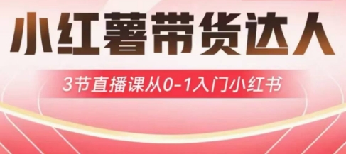 小红薯达人带货启航计划，3节直播课从0-1入门小红书|HOOK协议网