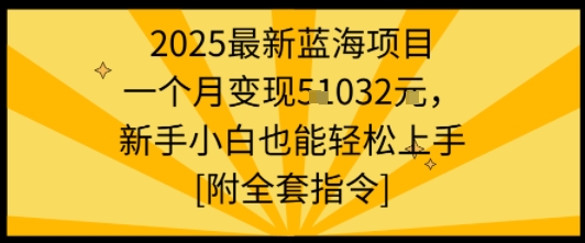 2025最新蓝海项目一个月变现1w+新手小白也能轻松上手【附全套指令】|HOOK协议网
