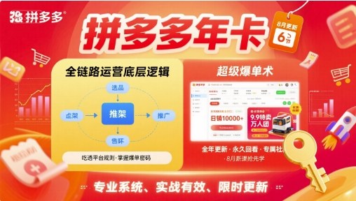 拼多多年卡【8月更新6节】拼多多全链路运营底层逻辑，超级爆单术|HOOK协议网