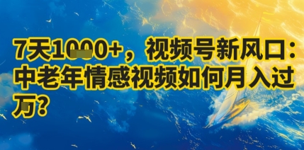 7天收益1k+，视频号新风口：中老年情感视频如何月入过W?|HOOK协议网