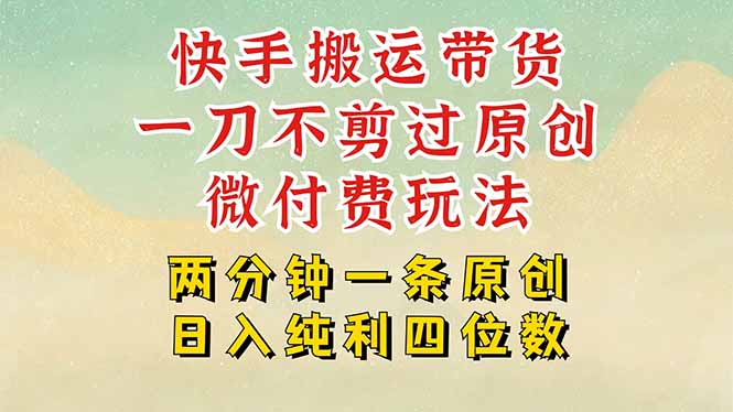 快手黑科技搬运带货，一刀不剪过原创，微付费投流玩法，轻松日入四位数…|HOOK协议网
