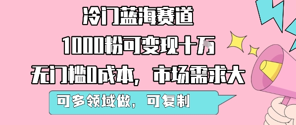 冷门蓝海赛道，1000粉可变现十W，无门槛0成本，市场需求大，可多领域做，可复制性强|HOOK协议网