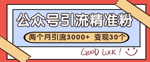 公众号精准粉引流玩法，2个月3000+精准粉，变现30个W【揭秘】|HOOK协议网