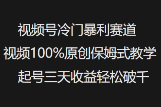 视频号冷门暴利赛道视频100%原创保姆式教学起号三天收益轻松破千|HOOK协议网