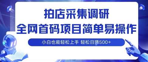 拍店采集调研，全网首码项目，简单易操作， 小白也能轻松上手，多账号操作，轻松日入5张【揭秘】|HOOK协议网