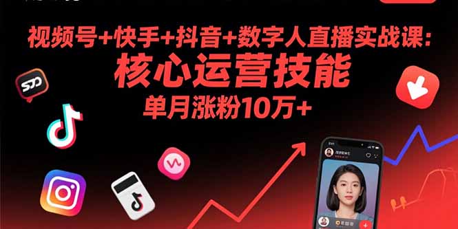 视频号+快手+抖音+数字人直播实战课(9月|HOOK协议网