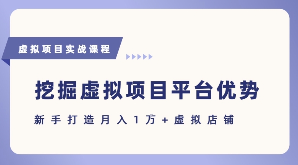 抓住虚拟项目各平台优势，新手轻松月入1W+(给出具体建议)|HOOK协议网