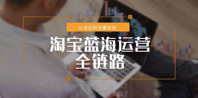 淘宝蓝海运营全链路，从选品到流量变现，小类目突围完整方案|HOOK协议网