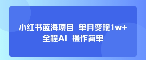 小红书蓝海项目 单月变现1w+ 全程AI 操作简单|HOOK协议网