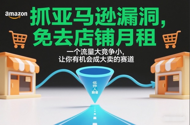 抓亚马逊漏洞，免去店铺月租，一个流量大竞争小，让你有机会成大卖的赛道|HOOK协议网