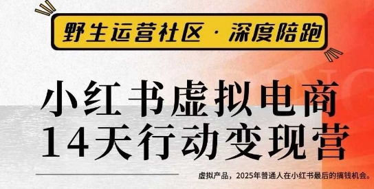 小红书虚拟电商14天变现训练营3.0，​虚拟产品，2025年普通人在小红书最后的搞钱机会|HOOK协议网