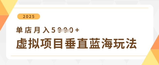 虚拟项目垂直玩法，实现单店月入5k+|HOOK协议网