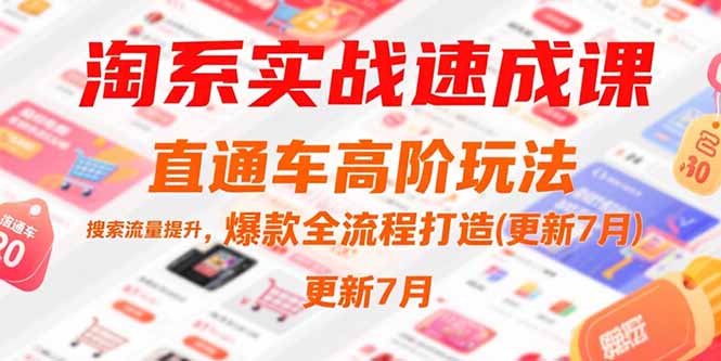 淘系实战速成课，直通车高阶玩法，搜索流量提升，爆款全流程打造(更新7月|HOOK协议网