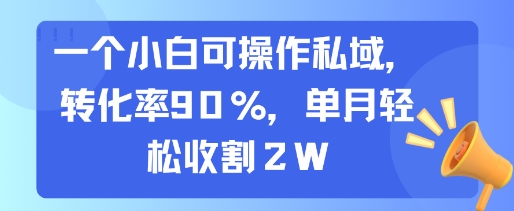 一个小白可操作私域，转化率90%，单月轻松收割2W|HOOK协议网