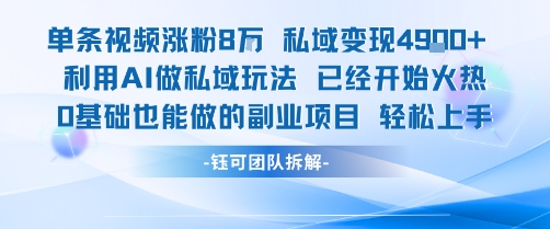 单条视频私域变现4.9k+利用AI做私域玩法 已经开始火热0基础也能做的副业项目轻松上手|HOOK协议网