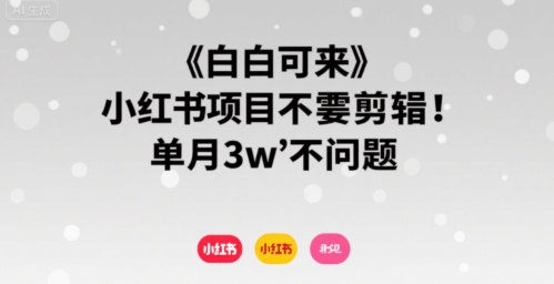 小白可来 小红书项目不需要剪辑 单月3w不是问题|HOOK协议网