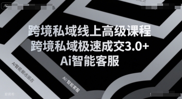 跨境私域线上高级课程，跨境私域极速成交3.0+Ai智能客服|HOOK协议网