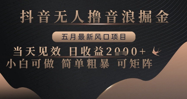 抖音无人撸音浪掘金，五月最新风口项目，当天见效，日收益多张，小白可做简单粗暴可矩阵【揭秘】|HOOK协议网