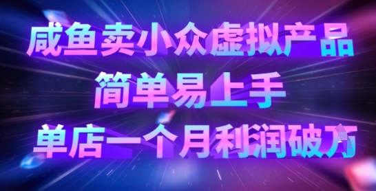 咸鱼卖小众虚拟产品，简单易上手，单店一个月利润破W|HOOK协议网