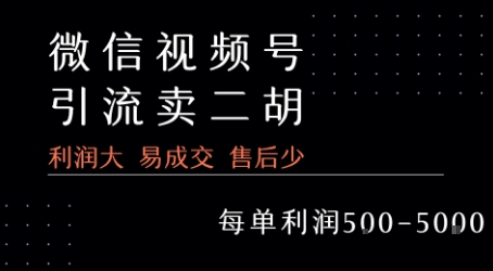 视频号卖二胡教程，利润大 易成交 售后少，一单利润5张+|HOOK协议网