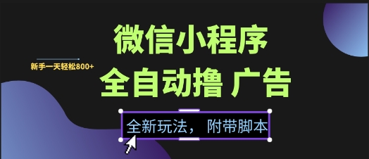 微信小程序全自动撸广告项目，彻底解决没流量的问题，新手一天8张+【揭秘】|HOOK协议网