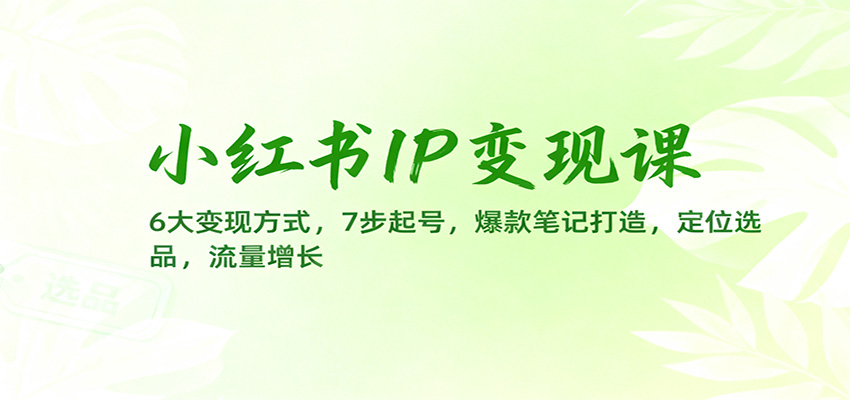 小红书IP变现课：6大变现方式，7步起号，爆款笔记打造，定位选品，流量增长|HOOK协议网