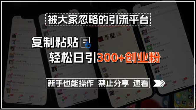 被大家忽略的引流平台，复制粘贴轻松日引300+创业粉，新手也能操作，禁…|HOOK协议网