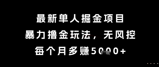 最新单人掘金项目，暴力撸金玩法，无风控，每个月多挣5k+【揭秘】|HOOK协议网
