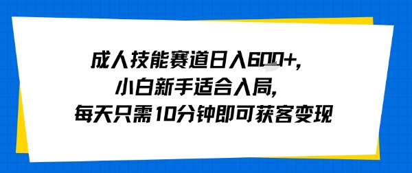 成人技能赛道日入多张，小白新手适合入局，每天只需10分钟即可获客变现|HOOK协议网