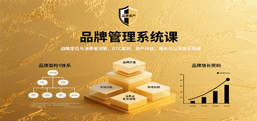 品牌管理系统课：战略定位与消费者洞察，DTC案例、资产评估，增长与公关体系搭建|HOOK协议网