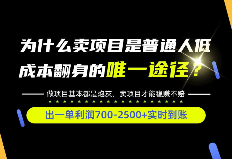 普通人如何靠互联网賺取自己的第一桶金！全类目实操型教学，看完你全都懂了！【揭秘】|一人科技OPC聚合软件